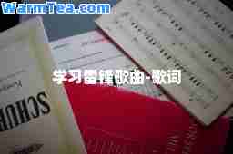 学习雷锋歌曲-歌词
