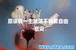 原谅我一生放荡不羁爱自由-歌词