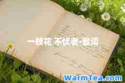 一枝花 不伏老-歌词