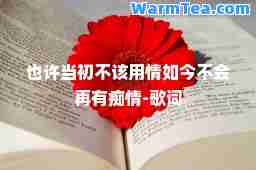 也许当初不该用情如今不会再有痴情-歌词