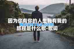 因为你有你的人生我有我的旅程是什么歌-歌词