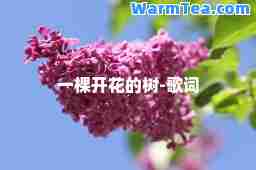 一棵开花的树-歌词