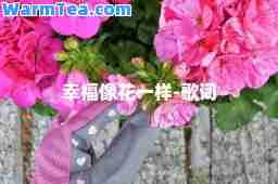 幸福像花一样-歌词