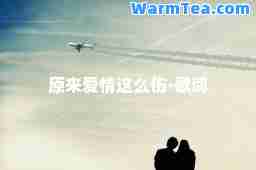 原来爱情这么伤-歌词