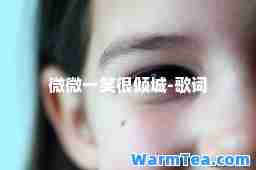 微微一笑很倾城-歌词