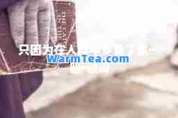 只因为在人群中多看了你一眼-歌词