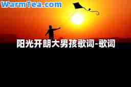 阳光开朗大男孩歌词-歌词