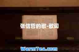 张信哲的歌-歌词