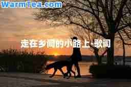 走在乡间的小路上-歌词