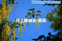 月上柳梢头-歌词