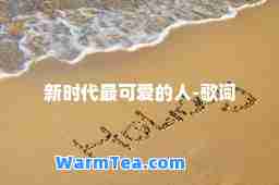 新时代最可爱的人-歌词