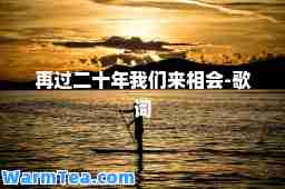 再过二十年我们来相会-歌词