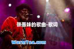 张惠妹的歌曲-歌词