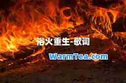 浴火重生-歌词 浴火重生-歌词