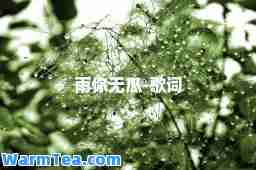 雨你无瓜-歌词