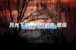 月光下的凤尾竹歌曲-歌词