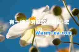 有一种爱叫做放手歌词-歌词