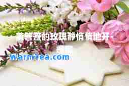 羞答答的玫瑰静悄悄地开-歌词