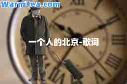 一个人的北京-歌词