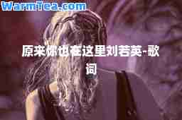 原来你也在这里刘若英-歌词