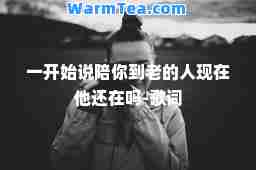 一开始说陪你到老的人现在他还在吗-歌词