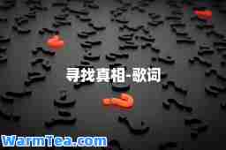 寻找真相-歌词