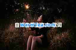 自娱自乐金志文-歌词