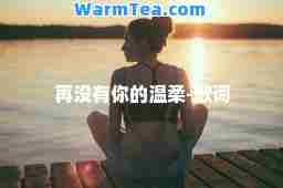 再没有你的温柔-歌词