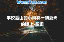 学校后山的小树林一到夏天的晚上-歌词
