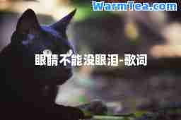 眼睛不能没眼泪-歌词