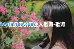最熟悉的陌生人歌词-歌词