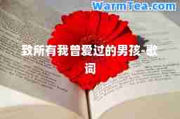 致所有我曾爱过的男孩-歌词