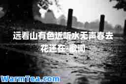 远看山有色近听水无声春去花还在-歌词