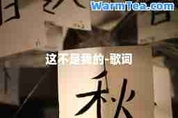这不是我的-歌词