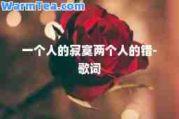 一个人的寂寞两个人的错-歌词