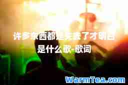 许多东西都是失去了才明白是什么歌-歌词