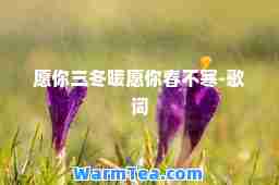 愿你三冬暖愿你春不寒-歌词