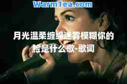 月光温柔缠绵迷雾模糊你的脸是什么歌-歌词