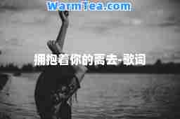 拥抱着你的离去-歌词
