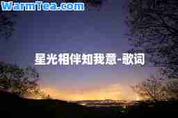 星光相伴知我意-歌词