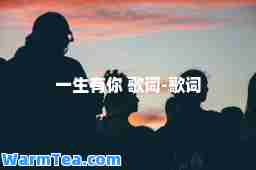一生有你 歌词-歌词