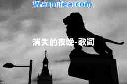 消失的夜晚-歌词
