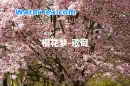 樱花梦-歌词