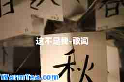 这不是我-歌词