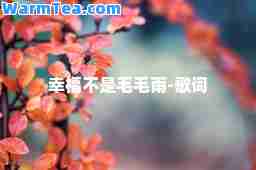 幸福不是毛毛雨-歌词