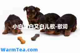 小白兔白又白儿歌-歌词