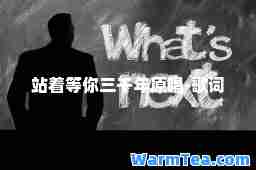 站着等你三千年原唱-歌词