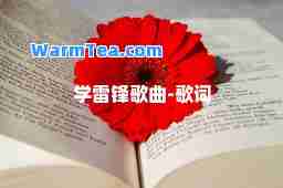 学雷锋歌曲-歌词