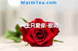 一生只爱你-歌词