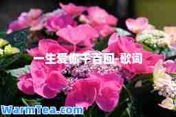 一生爱你千百回-歌词